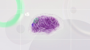 A colorful 3D model of a brain showing neural connections