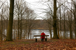 A man sitting alone on a bench in the woods
