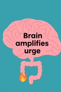 Brain Amplifies Urge Image