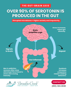 Infographic on the gut–brain axis showing serotonin produced in the gut.